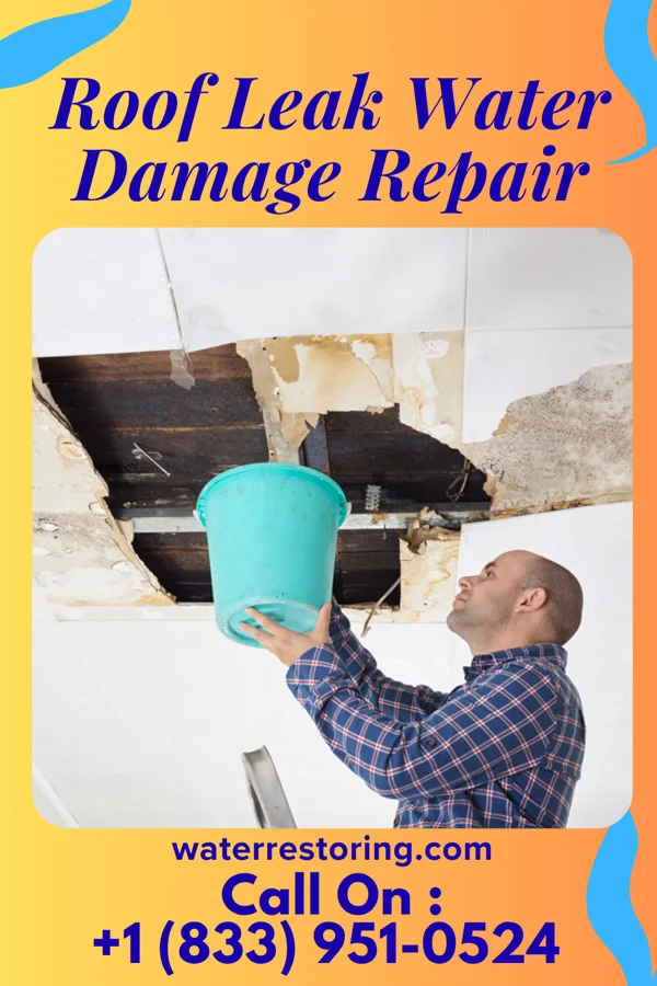 Roof Leak Water Damage Repair in Los Alvarez, TX