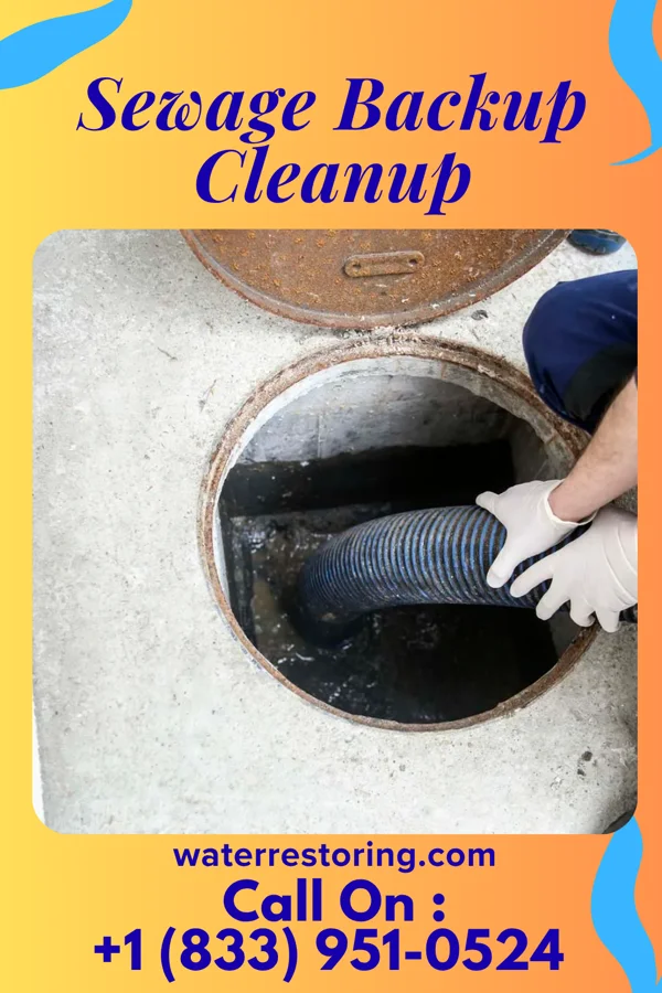Sewage Backup Cleanup in Los Alvarez, TX